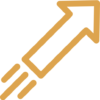 seta
